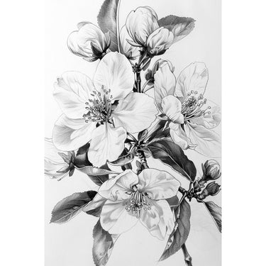Tableau Dessin de Fleur